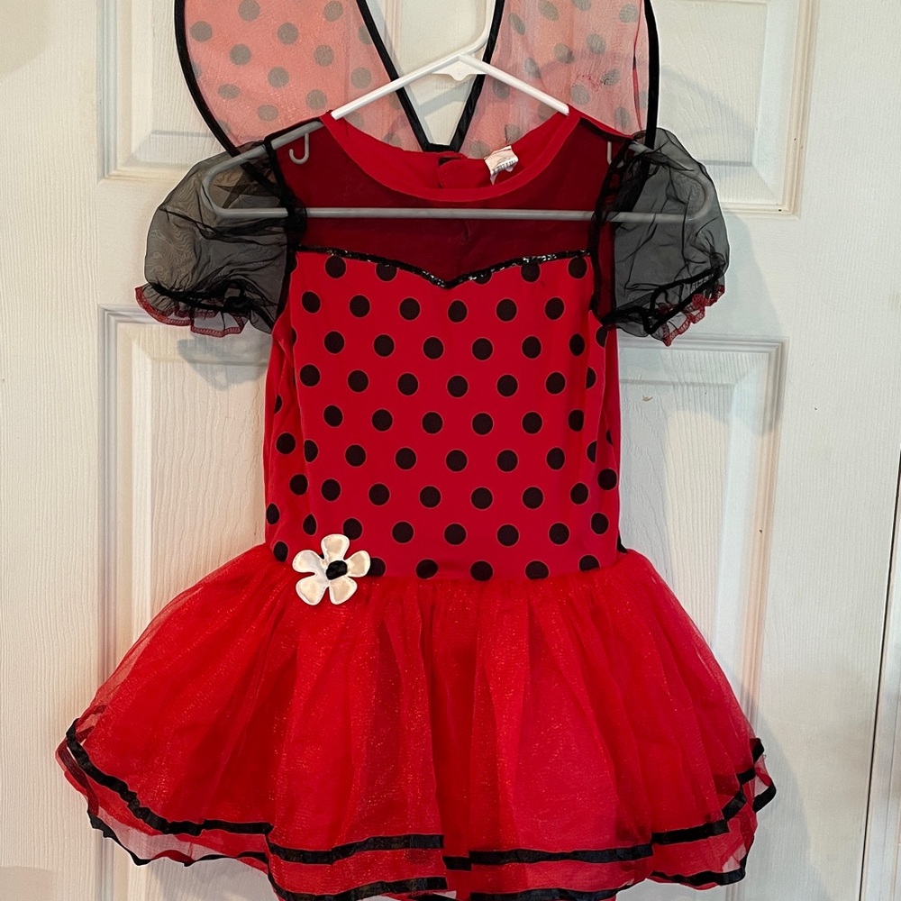 Halloween Red and Black Ladybug Tutu Costume for Kids Size 8-10